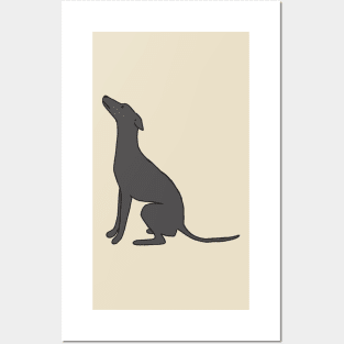 italian greyhound illustration Posters and Art